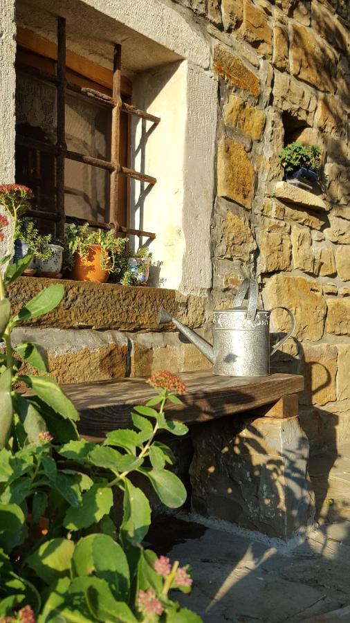 Istrian Stone House Villa Secovlje Exterior photo